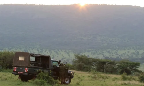 jaktresa_Zimbabwe